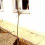 Pict0243