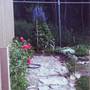 My_pictures0004