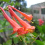Img_0315