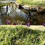 Pict0254