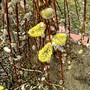 Pict0293