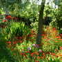 Dscn0589