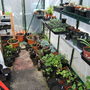 March_026