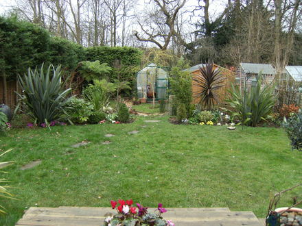 Garden in March