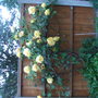 Picture_127