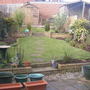 March_garden_001