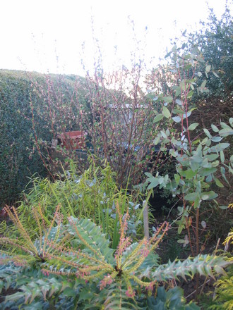 Hidding the compost bins