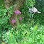 Dsc00198