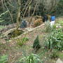 March_020