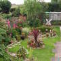 my garden in june/july 2007