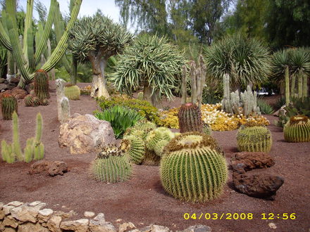 garden/c
