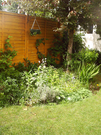 summer back garden