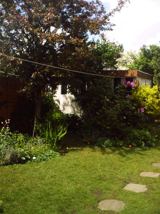 IMAG0046.jpg