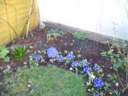 IMAG0027.jpg