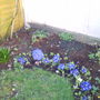 IMAG0027.jpg