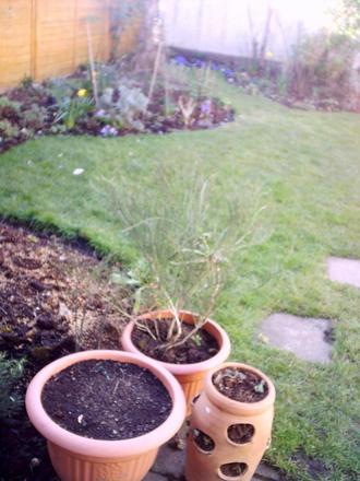 IMAG0039.jpg