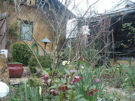 front courtyard