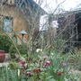 front courtyard