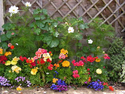 a border of colour