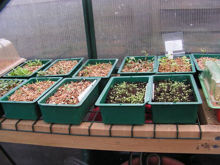 seeds on the go for 2008