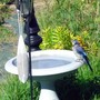 Yard_pictures_025