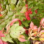 Pictures_summer_2007-spring_2008_075