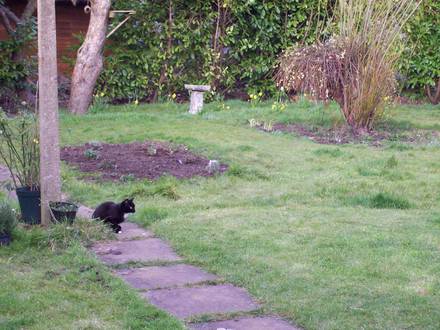 Other Flower Bed...