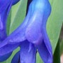 101_1899.jpg