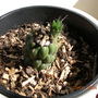 Dscn0358