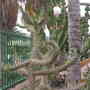 Dscn0886