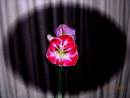 FSCN0963.jpg
