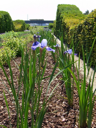 Thames Barrier Park June 2007