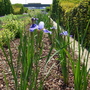 Thames Barrier Park June 2007
