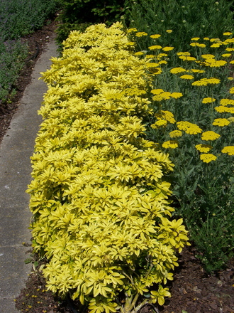 Thames Barrier Park June 2007