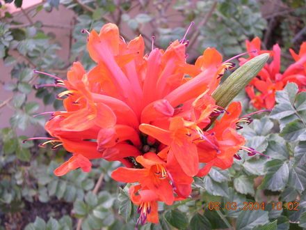 DSCN0255.jpg