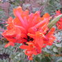 Dscn0255