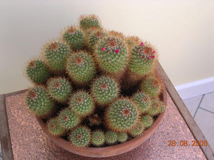 DSCN0281.jpg