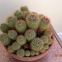 Dscn0281
