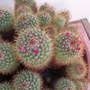Dscn0282