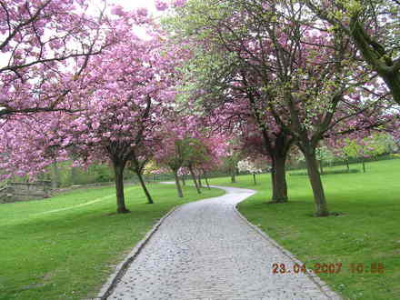 DSCN1063.jpg