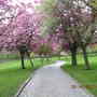 Dscn1063