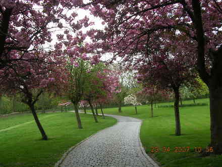 DSCN1064.jpg