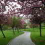 Dscn1064