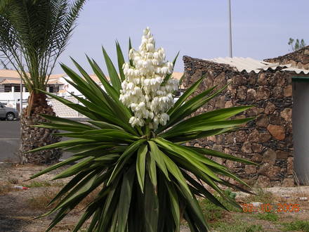 DSCN0324.jpg