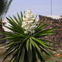 Dscn0324