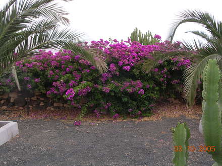 Fuerteventura