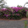 Dscn0333