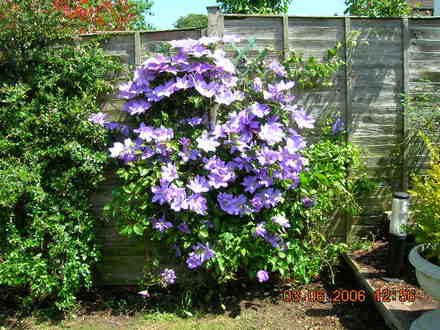 DSCN0213.jpg