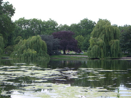 St James's Park June 2007