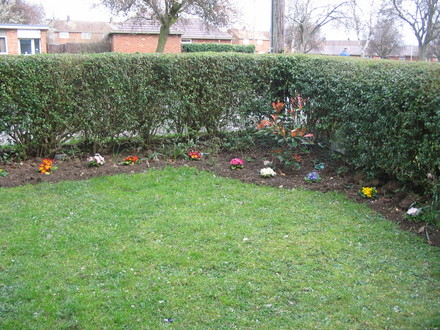 Dads front garden